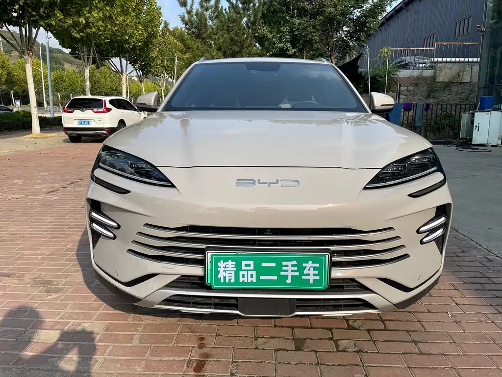 BYD PLUS New Energy — миниатюра 2