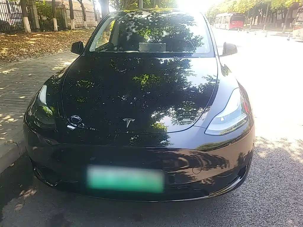Tesla Model Y — миниатюра 3