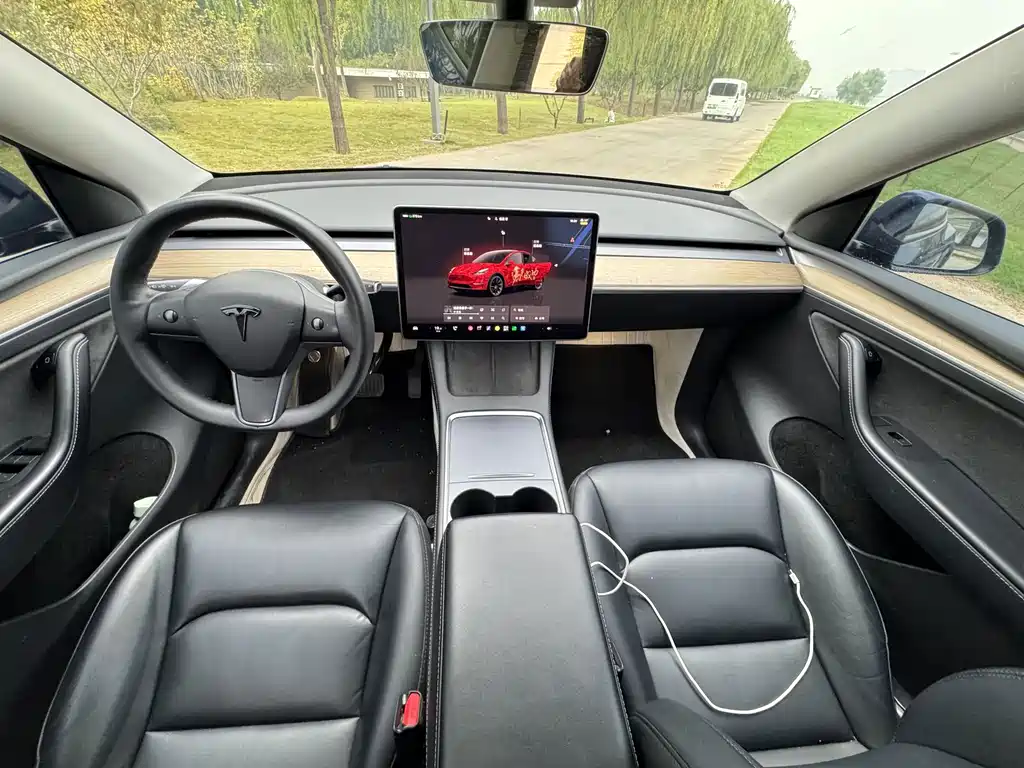 Tesla Model Y — миниатюра 9