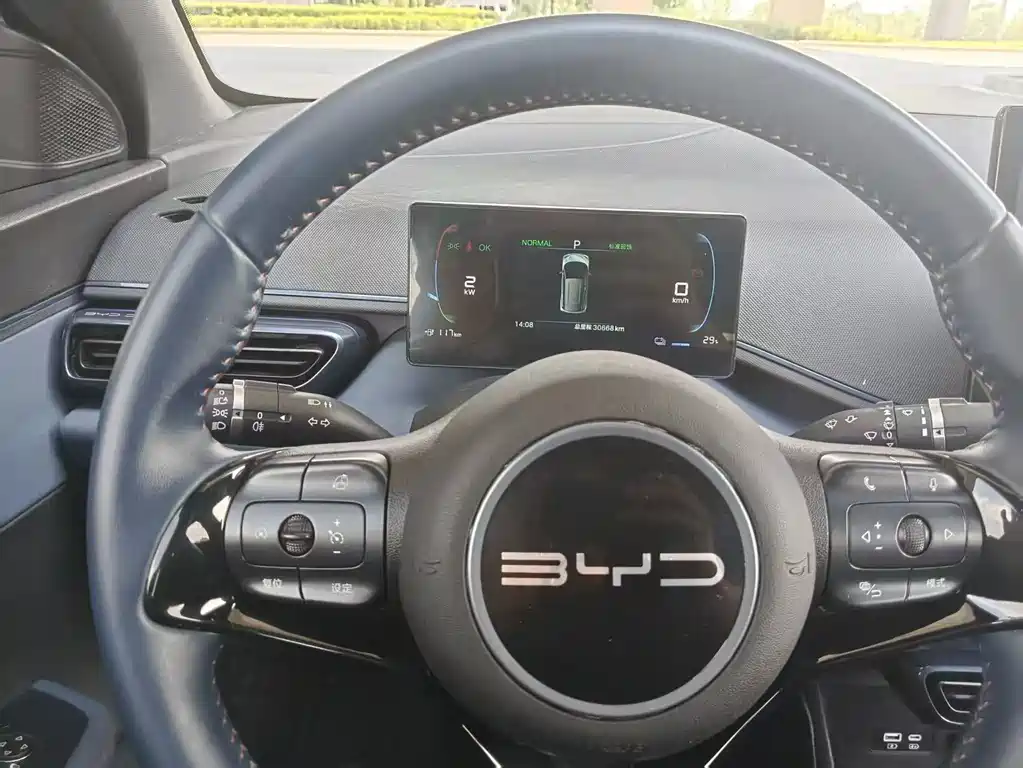 BYD Seagull 2024 405km Flying