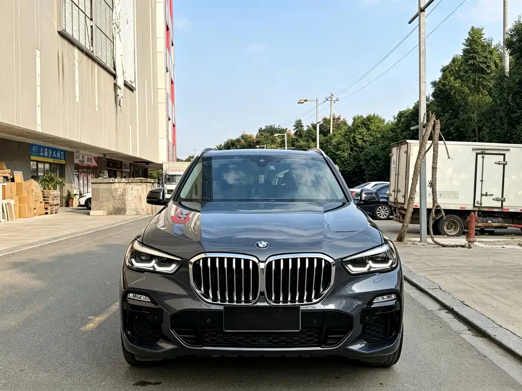 BMW X5 (Import) — миниатюра 2