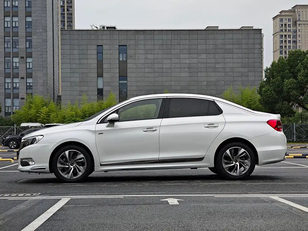 DS DS 5LS — миниатюра 6