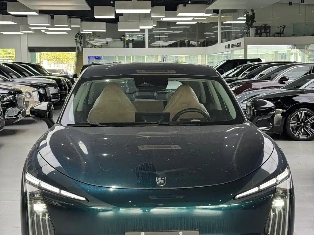 Dongfeng T5 2026 530km Premium