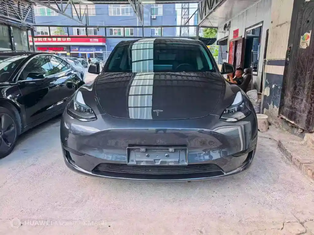 Tesla Model Y — миниатюра 2