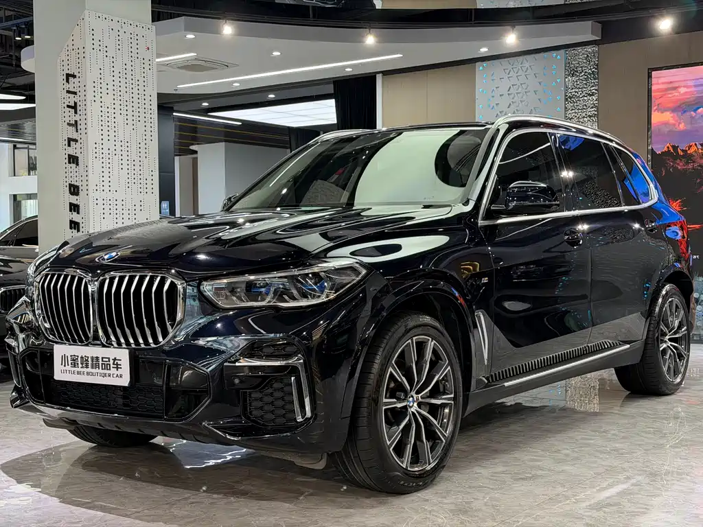 BMW X5 2023