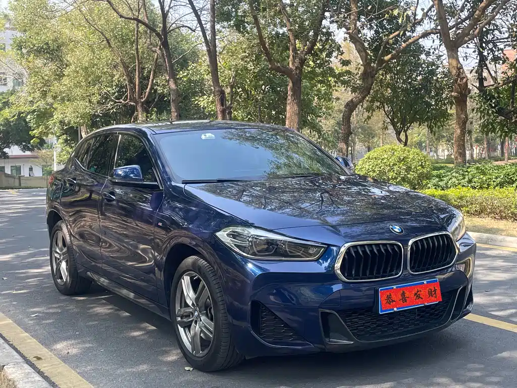 BMW X2