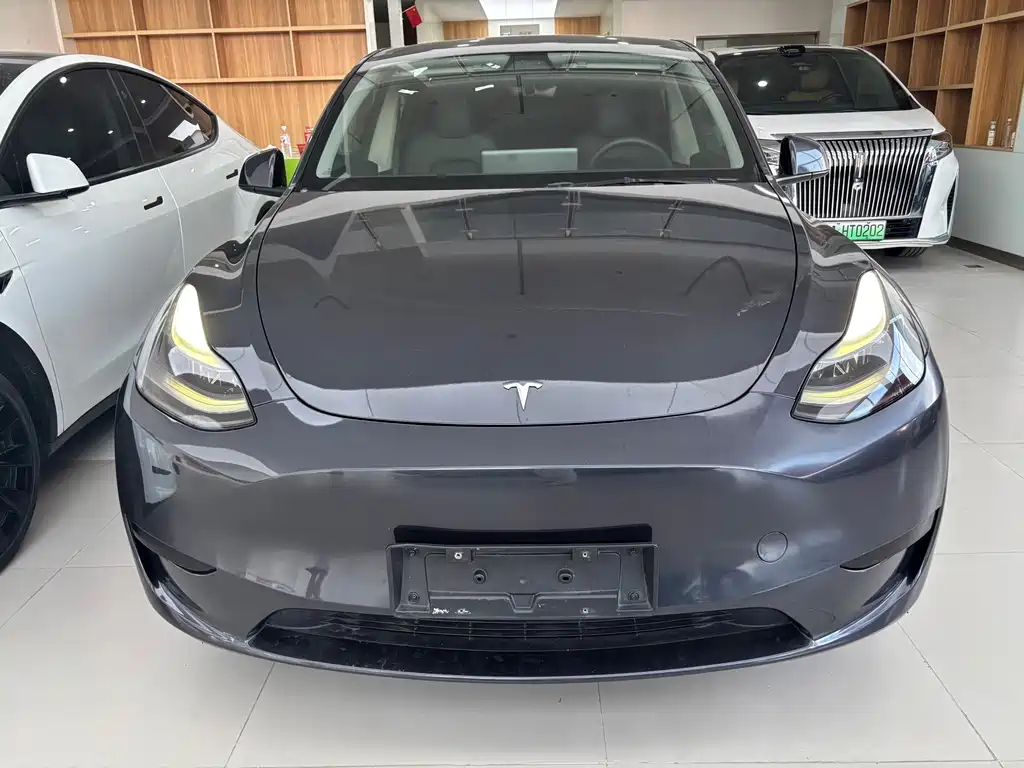 Tesla Model Y — миниатюра 2
