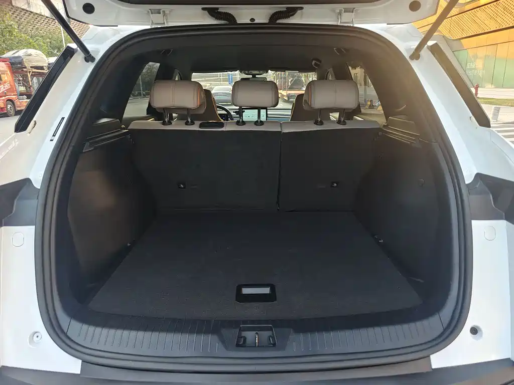 BYD SONGJIANG NEW ENERGY