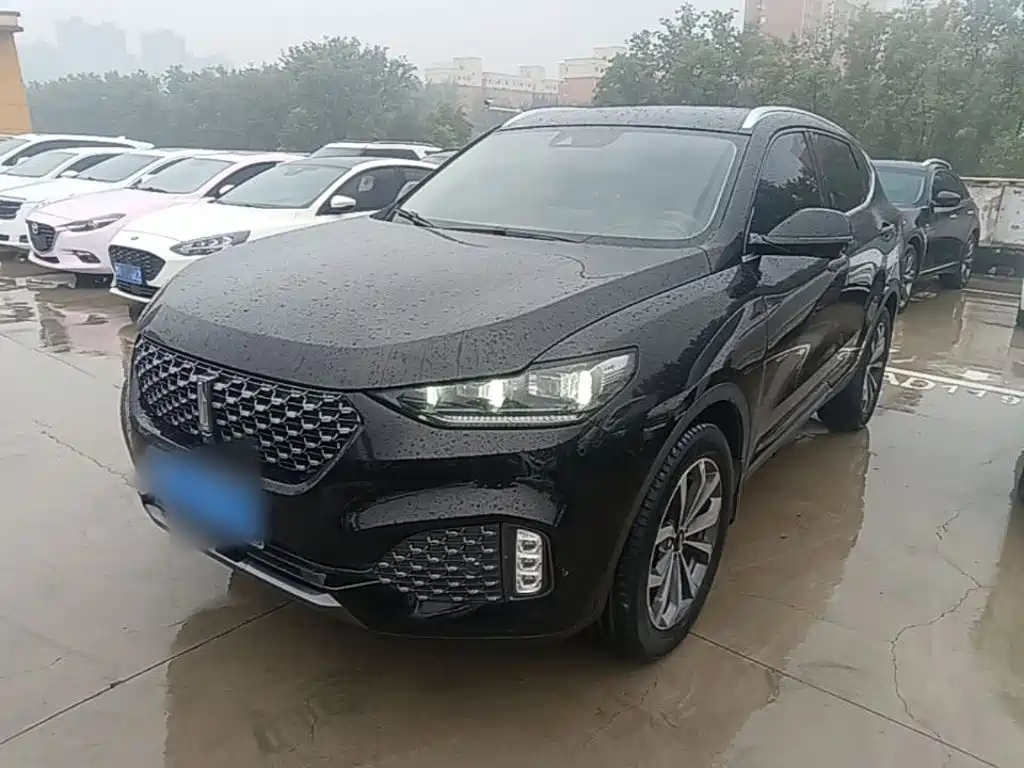 Wey Wey VV6