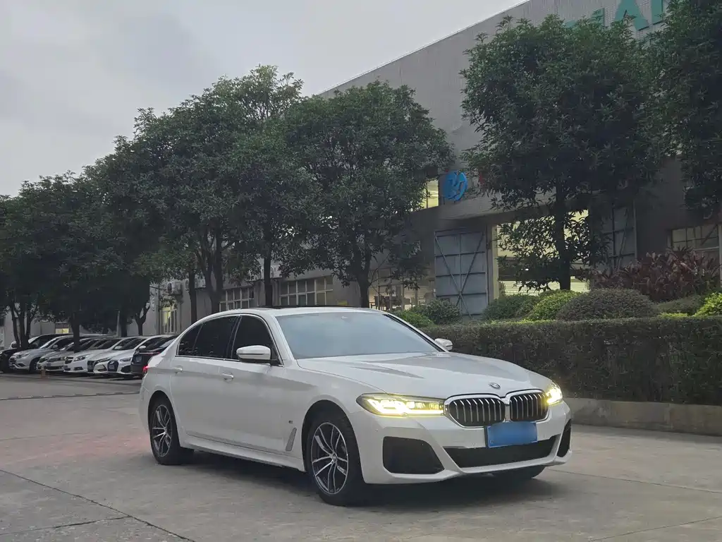 BMW 5 Series — миниатюра 3