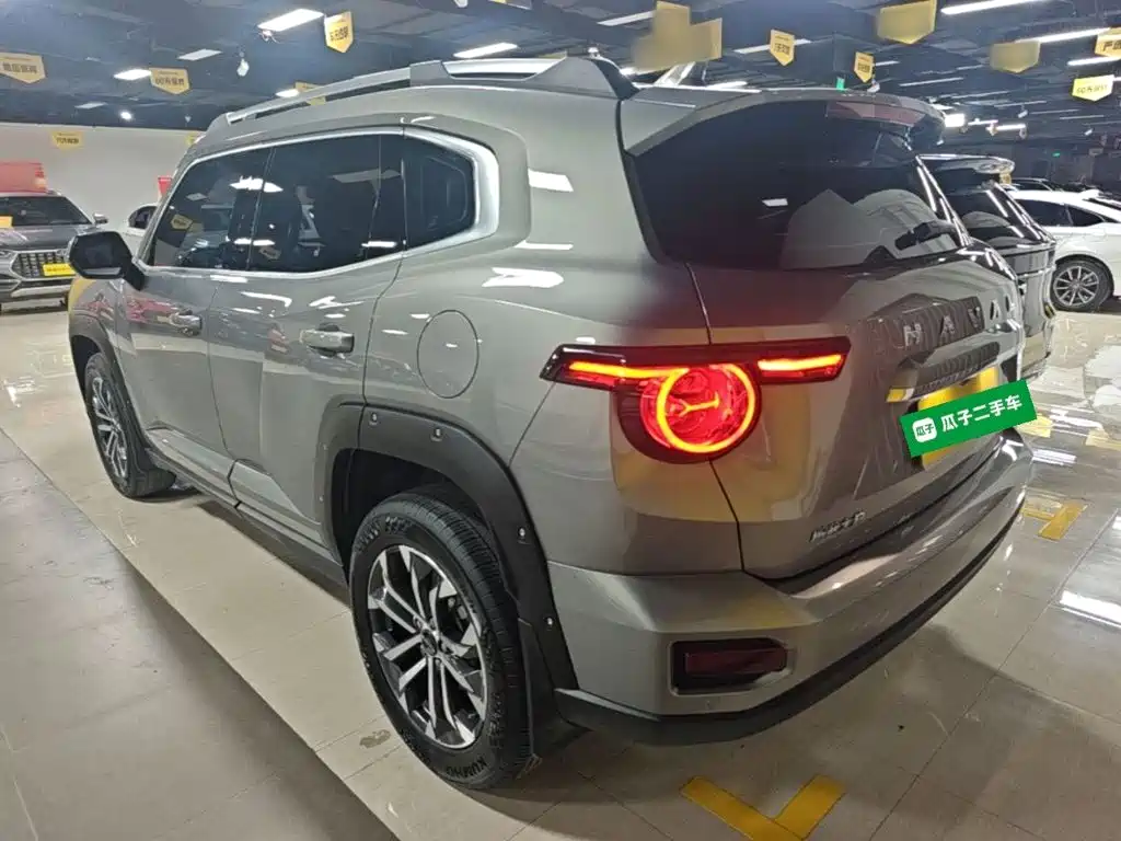 Haval Big Dog PLUS — миниатюра 5
