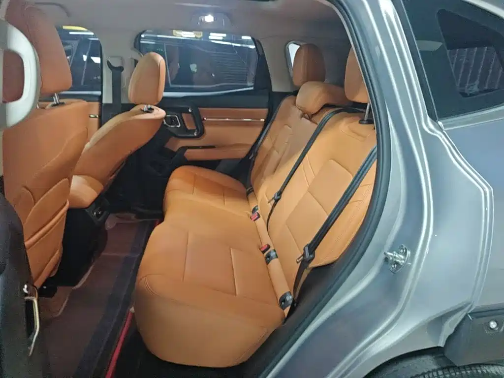 Haval Big Dog PLUS — миниатюра 17