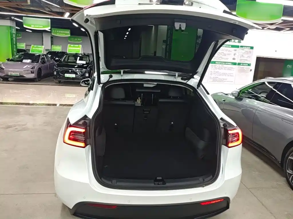 Tesla Model Y — миниатюра 19