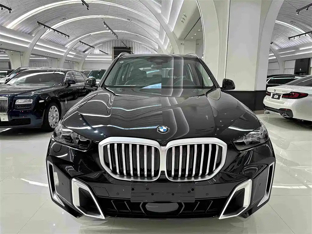 BMW X5 — миниатюра 2