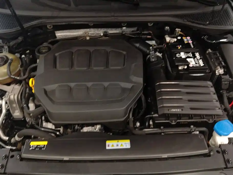 Volkswagen Magotan 2020 330TSI DSG Luxury