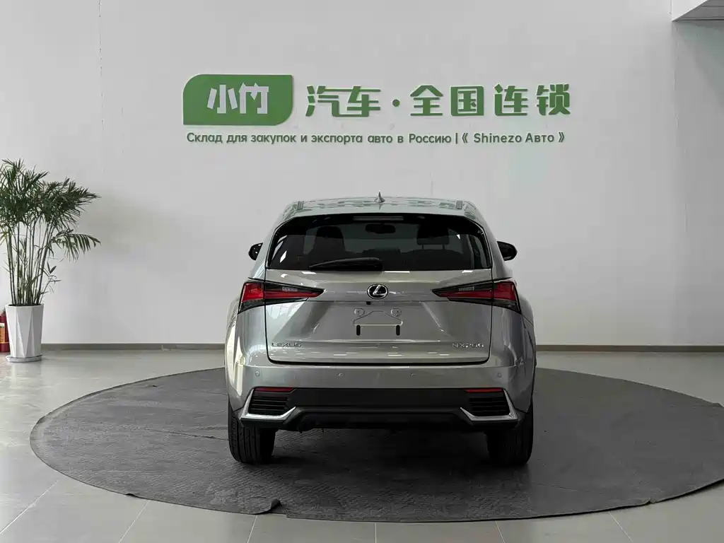 Lexus NX 2020 200 VI