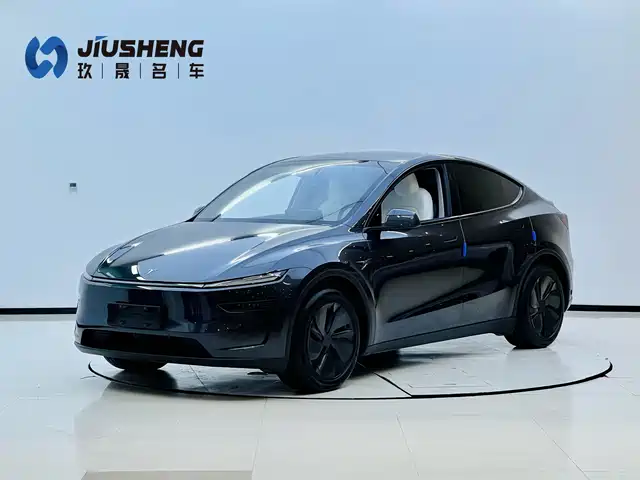 TESLA MODEL Y 2025