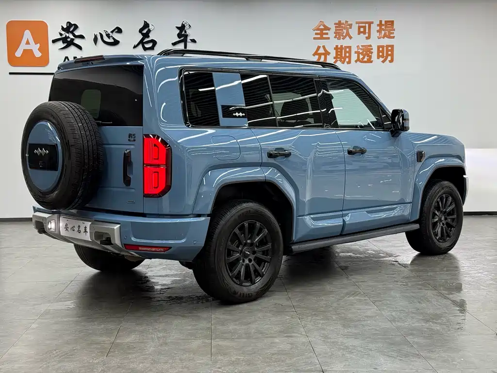 FANG CHENG BAO LEOPARD 5