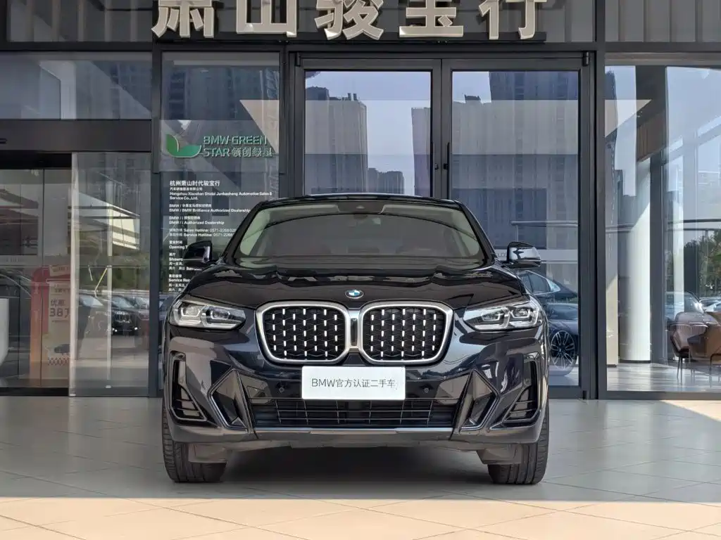 BMW X4 — миниатюра 2