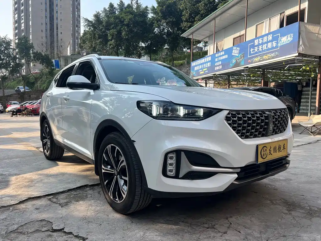 WEI PAI WEI BRAND VV6