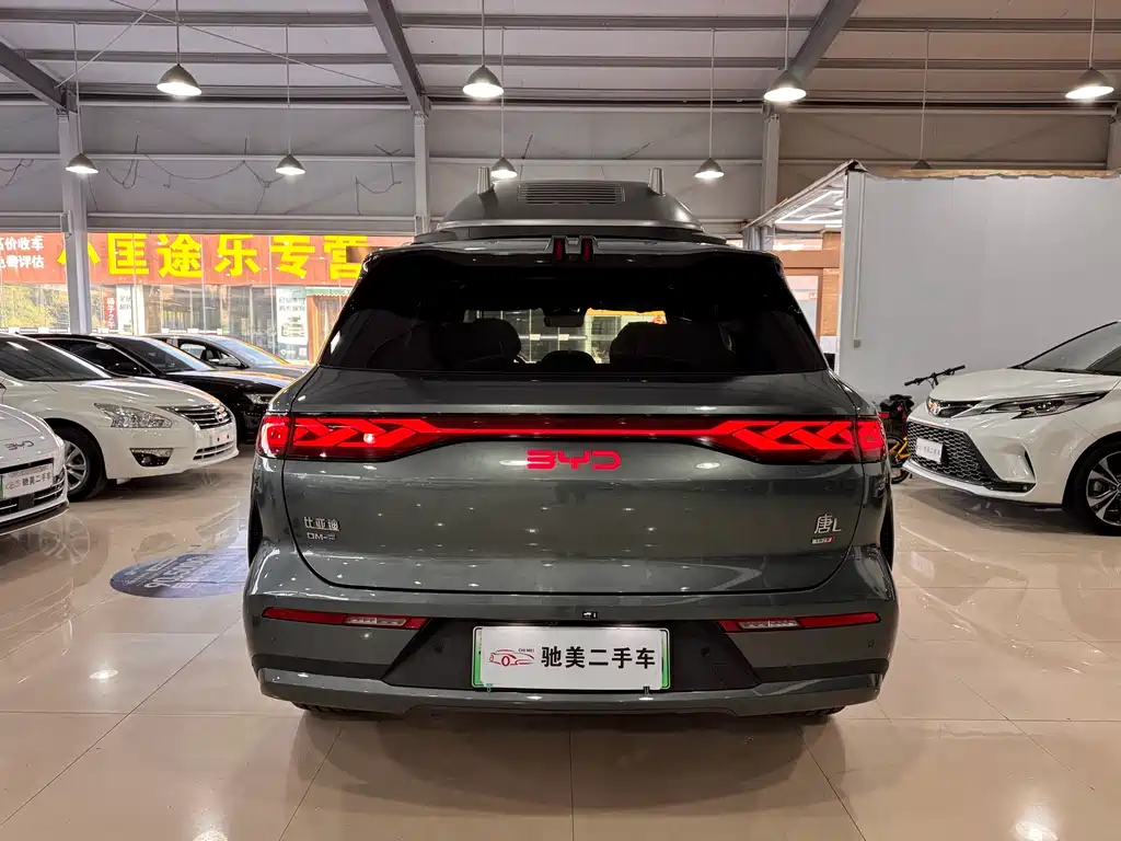 BYD Tang L - фото 4