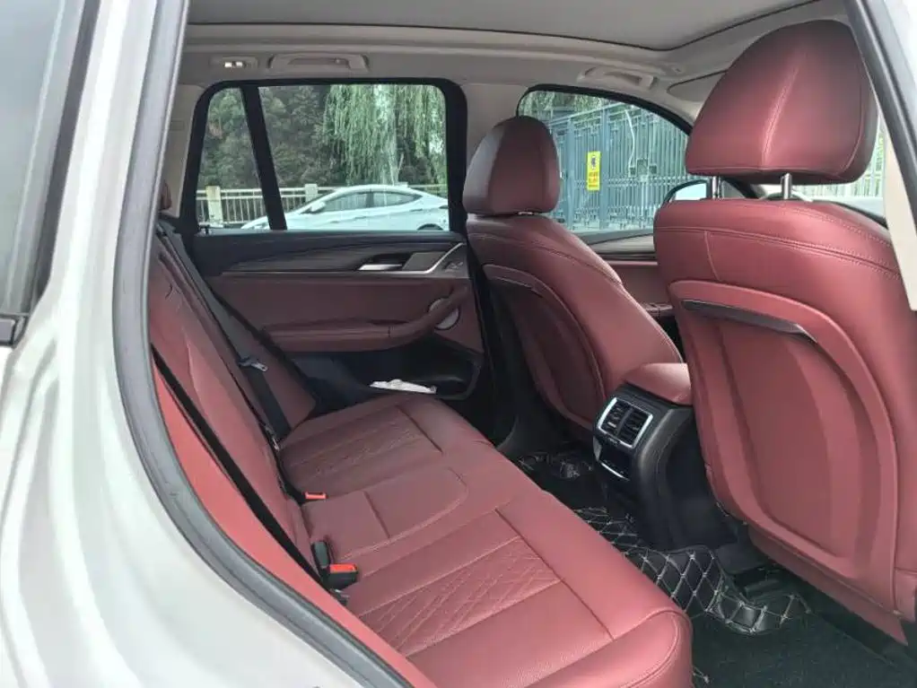 BMW X3 2023 xDrive30i Lead M