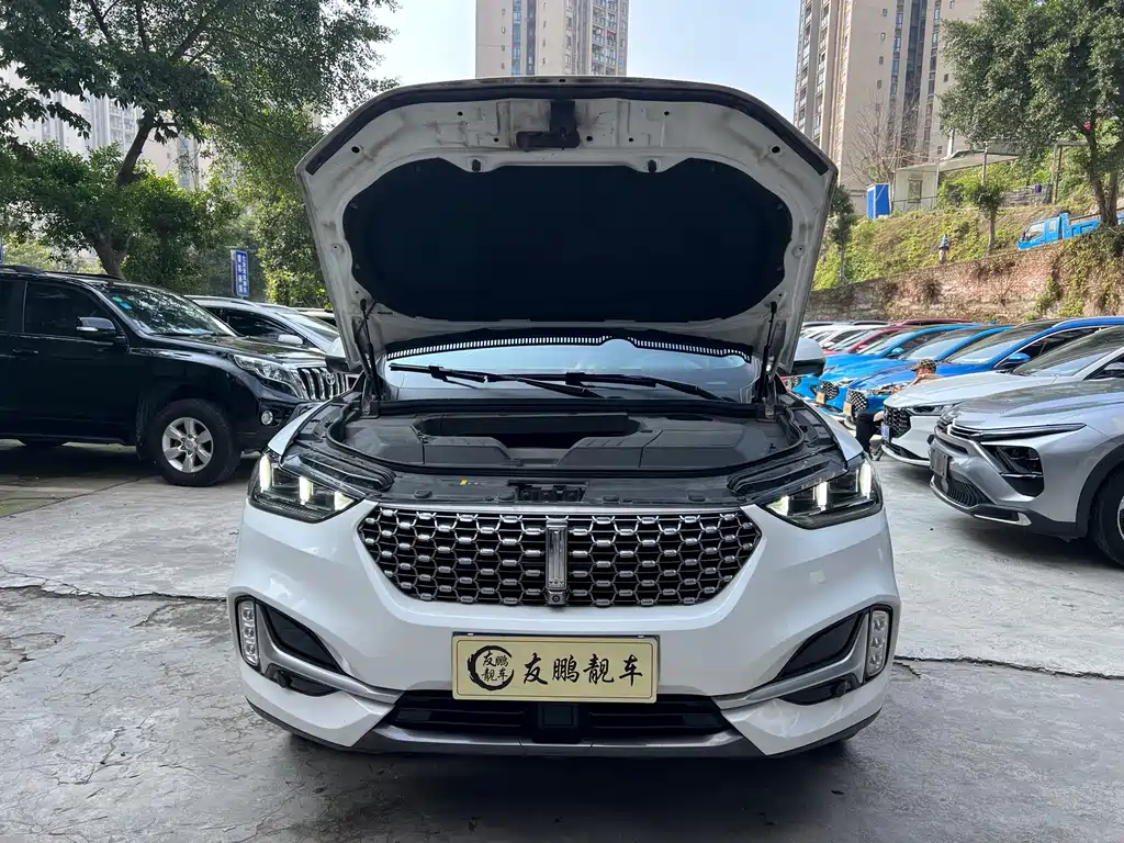 WEI PAI WEI BRAND VV6