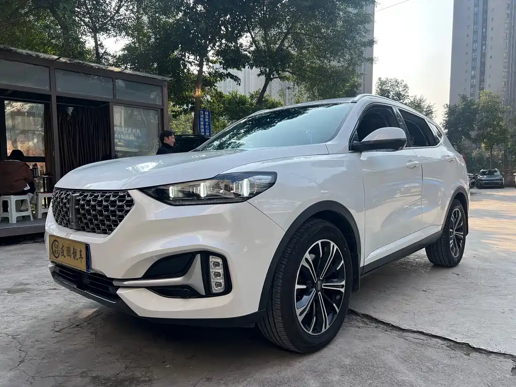 WEI PAI WEI BRAND VV6