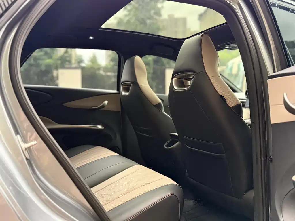 BYD Dolphin 2023 420km Fashion
