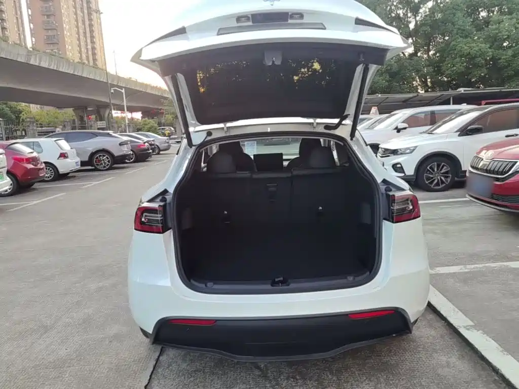 Tesla Model Y — миниатюра 19