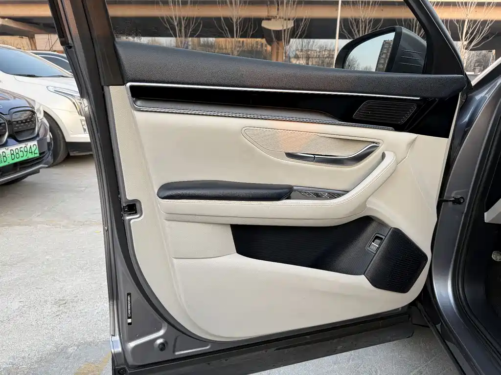 BYD SONGJIANG NEW ENERGY