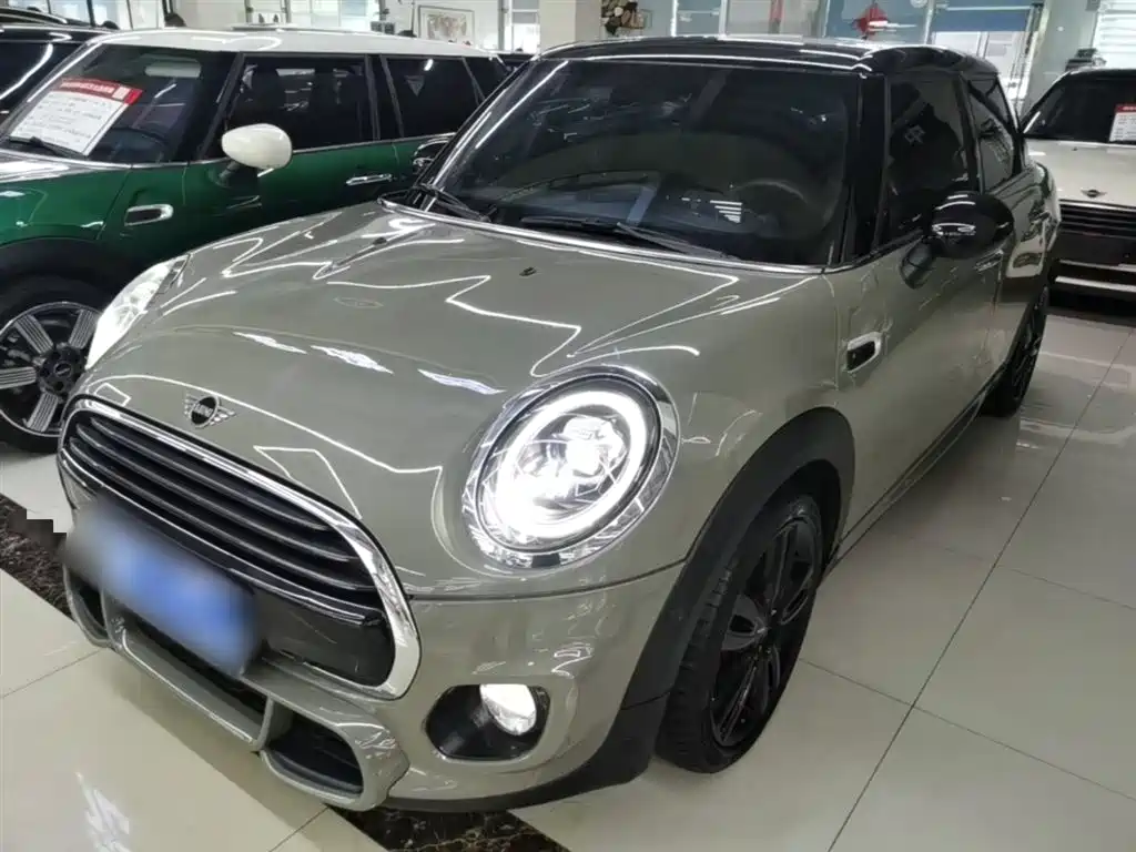 Mini Mini 2019