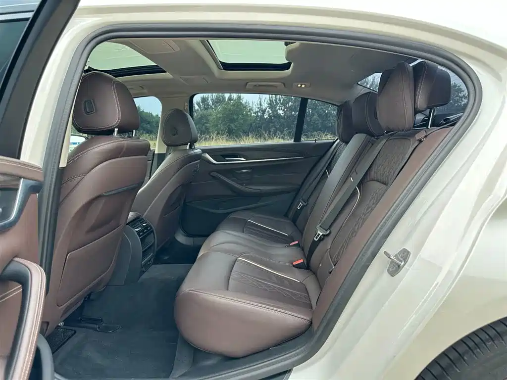 BMW 5 Series 5 2020 530Li Lead Luxury