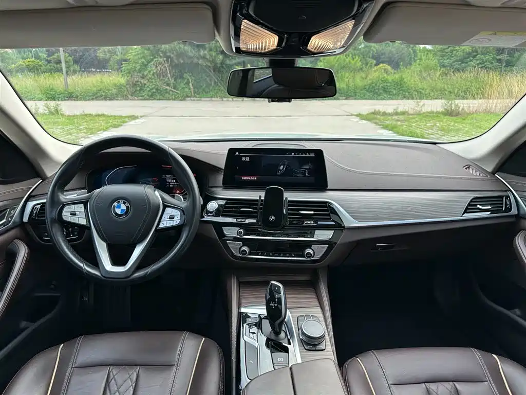 BMW 5 Series 5 2020 530Li Lead Luxury