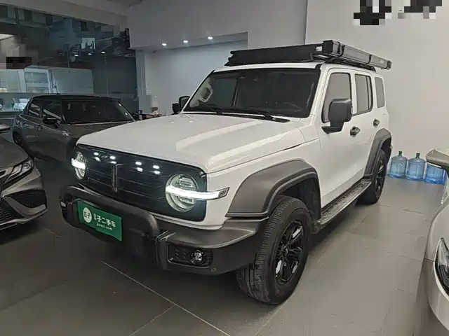 2021 TANK 300