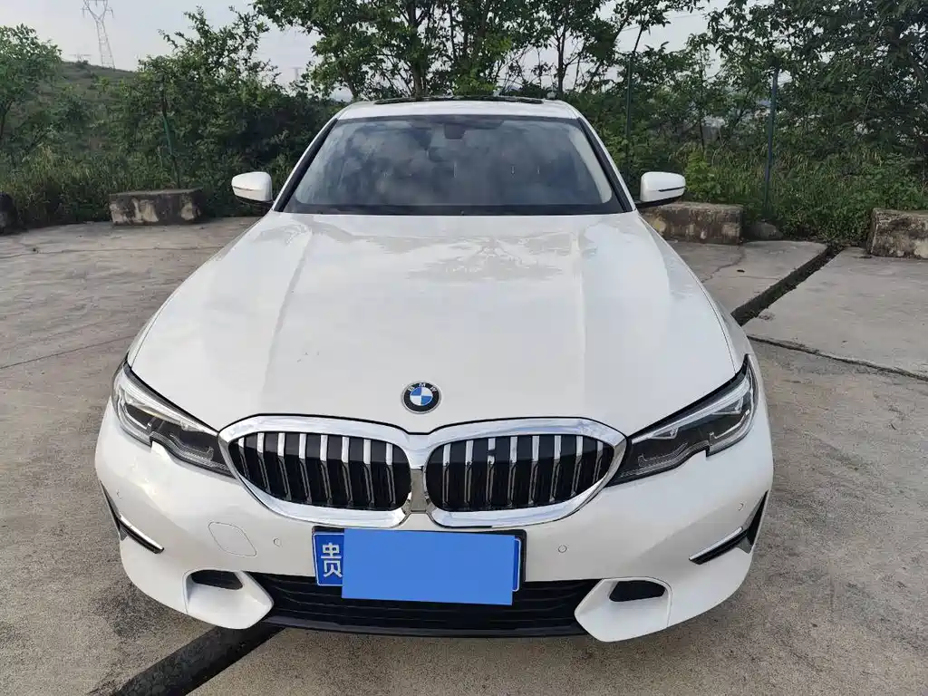 BMW 3 Series 3 2020 325Li