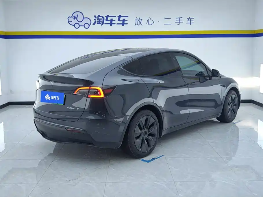 Tesla Model Y — миниатюра 3