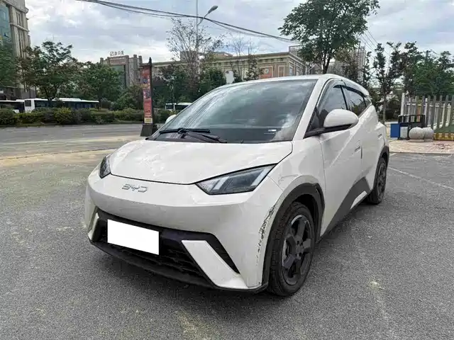 2024 BYD Seagull