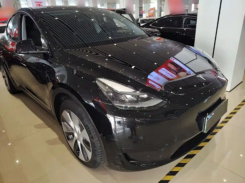 Tesla Model Y — миниатюра 4