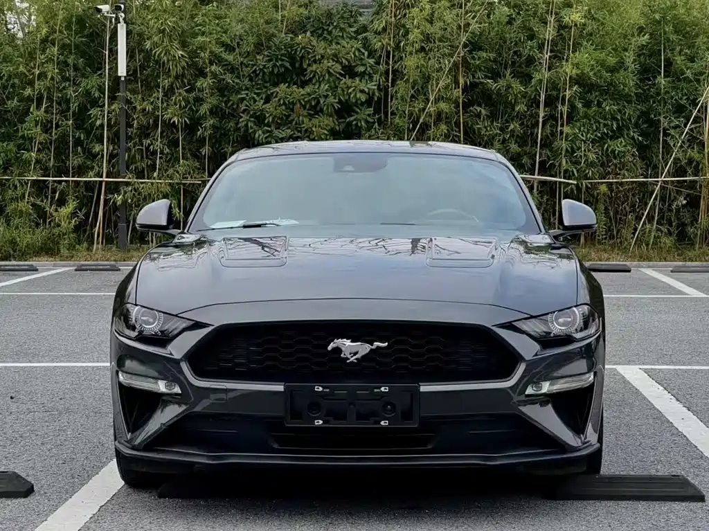 Ford Mustang — миниатюра 2