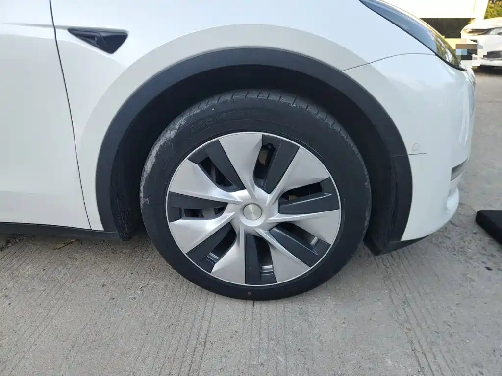 Tesla Model Y — миниатюра 26