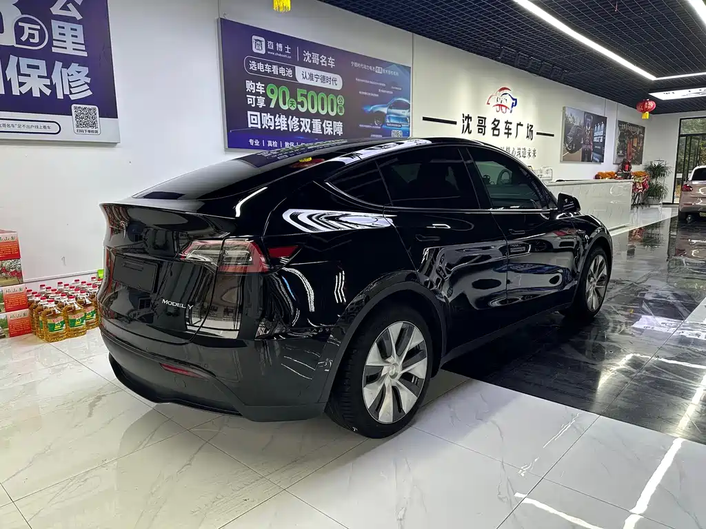 Tesla Model Y — миниатюра 9