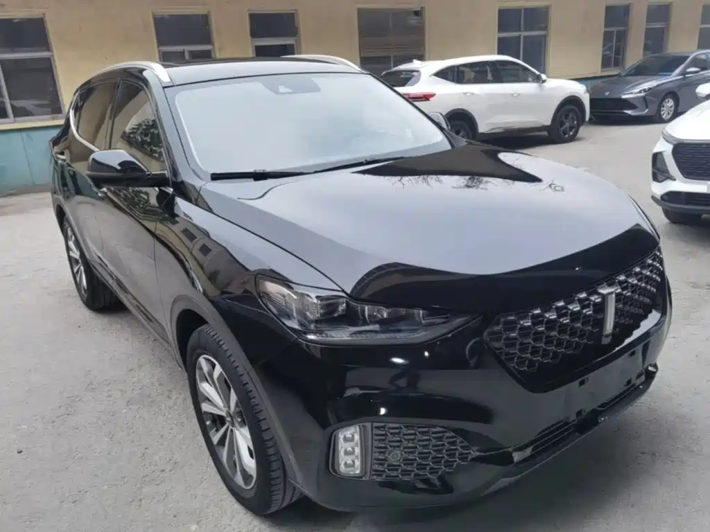 Wey Wey VV6 — миниатюра 4