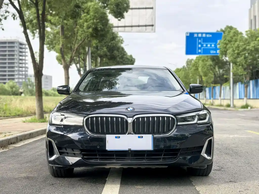 BMW 5 Series 5 2021 530Li Lead Luxury