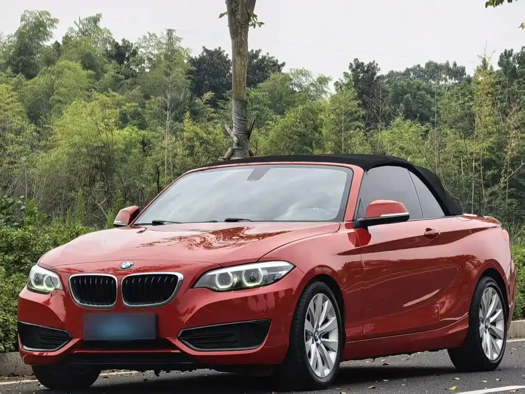 BMW 2 Series (Import)
