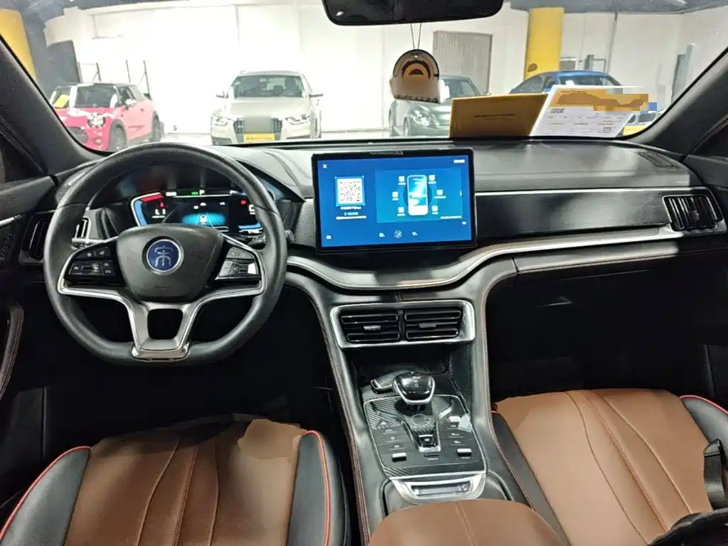 BYD PLUS — миниатюра 10