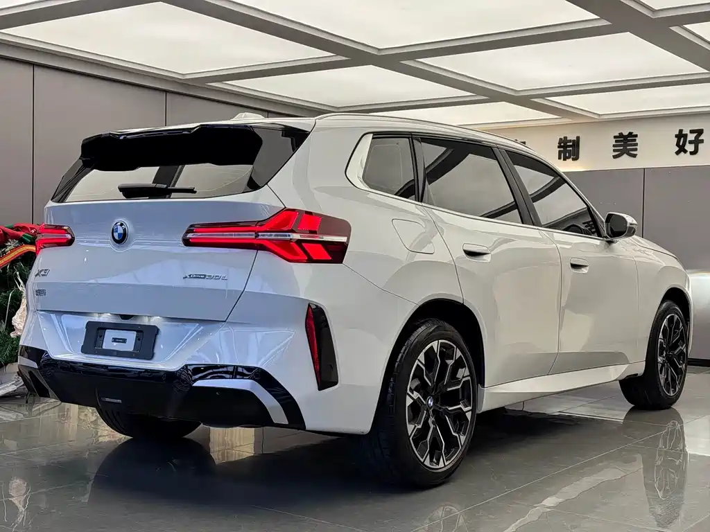 BMW X3 — миниатюра 12