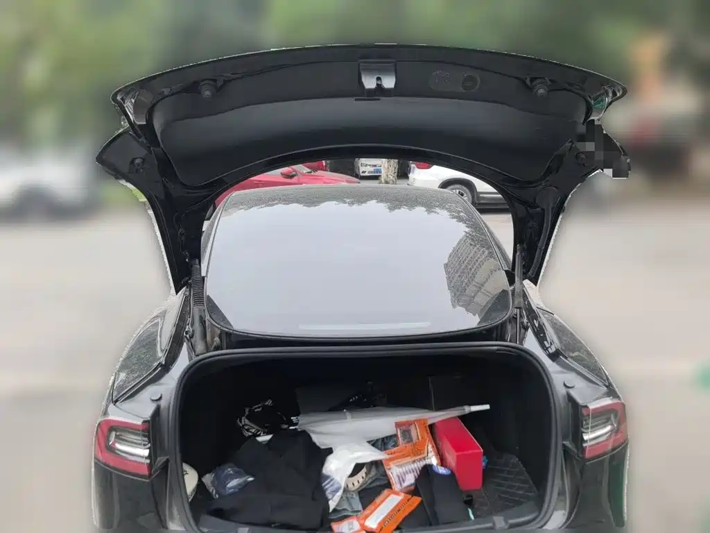 Tesla Model 3 — миниатюра 20
