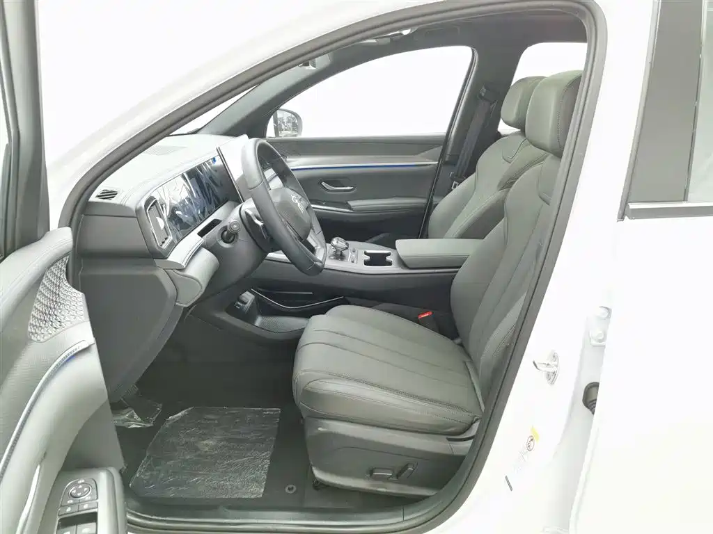 BYD SONGJIANG NEW ENERGY