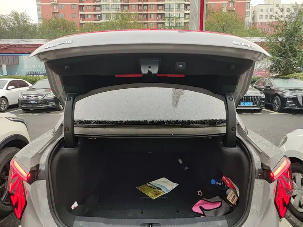 Hongqi Hongqi EH7 — миниатюра 19
